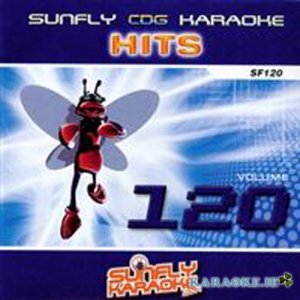 Sunfly Chart Hits 120 (Used But Very Good Condition)