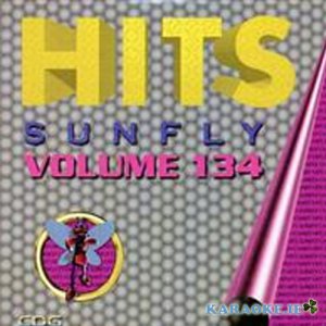 Sunfly Chart Hits 134 (Used But Very Good Condition)